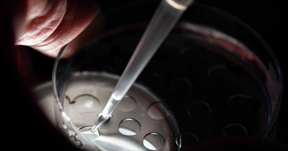 Salud. Nancy, epicentro de la biotecnología: 1 millón de euros para el MIT, catalizador de la excelencia en salud.