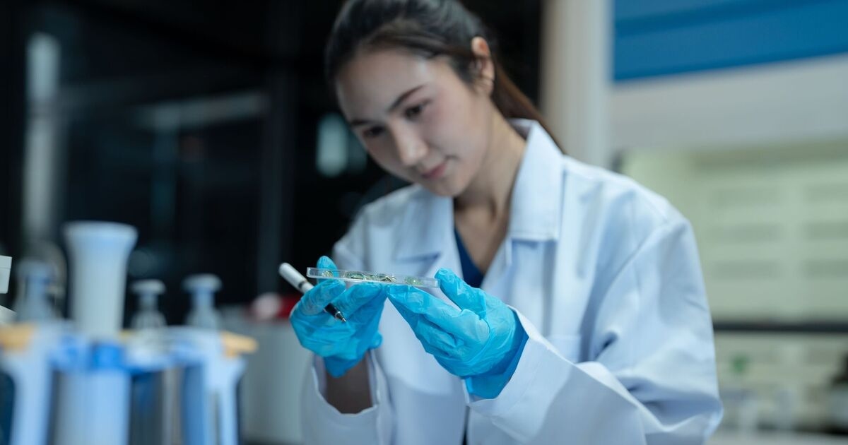 UK scientists create new skin cancer test that could dramatically boost patient's lives