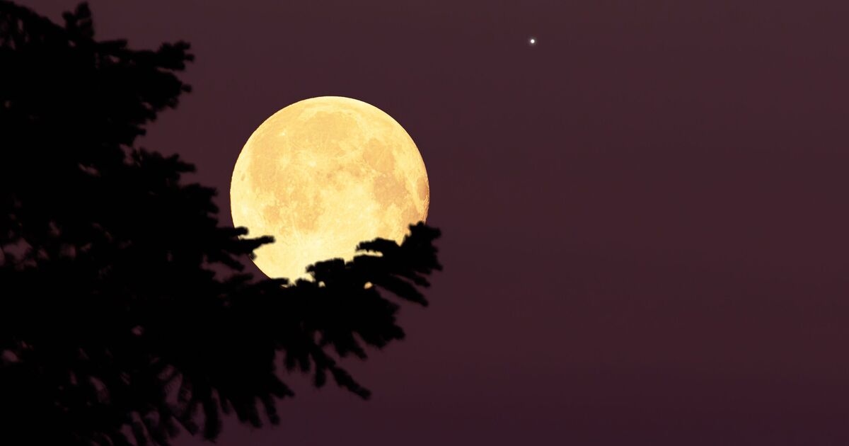 Rare 'blue moon' appears tonight—but you may be disappointed