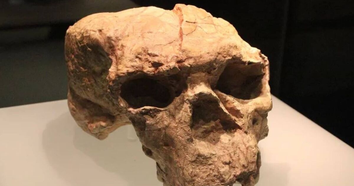 Groundbreaking 'Dragon Man' skull discovery of brand new human