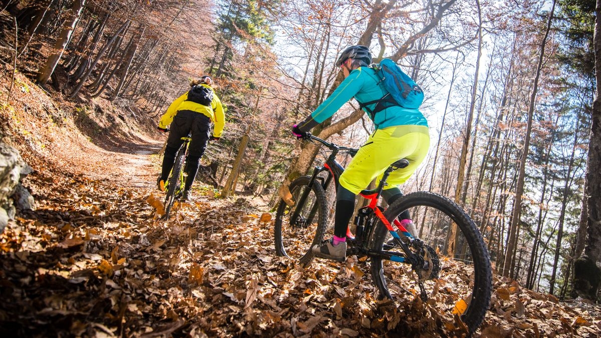 Тренировки по велоспорту: шоссейные гонки, приключения по пересеченной местности, групповые поездки — что мне подходит?
