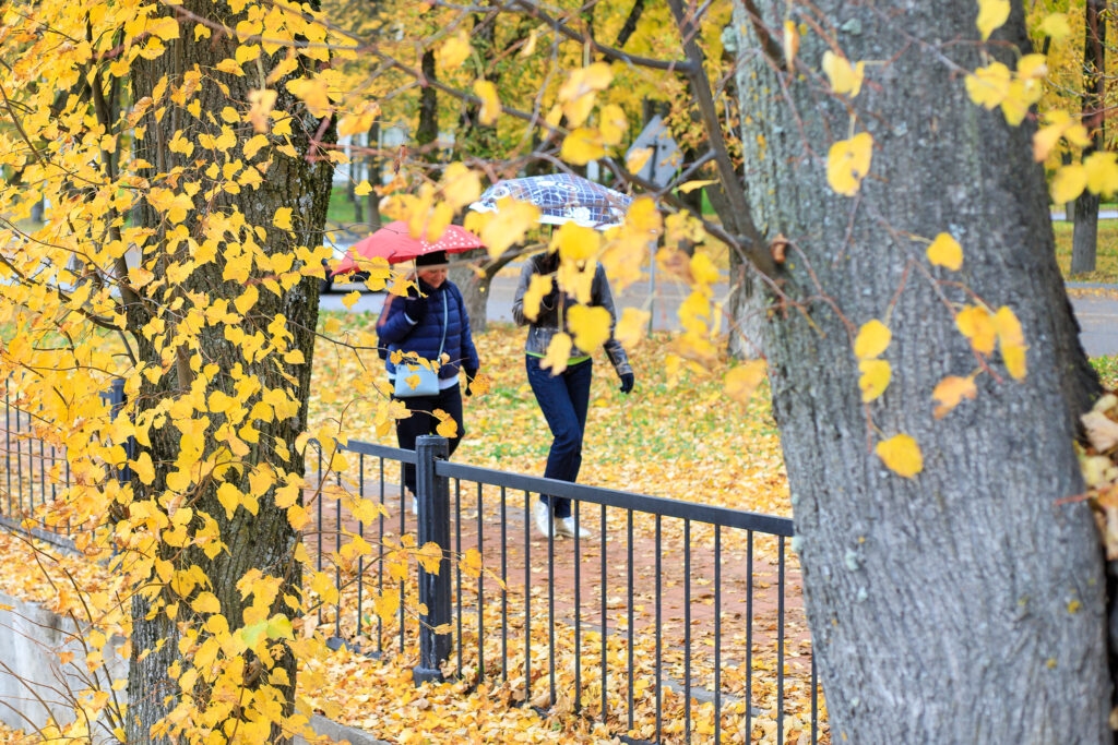 Veliky Novgorod bate recorde de temperatura para novembro de 1967