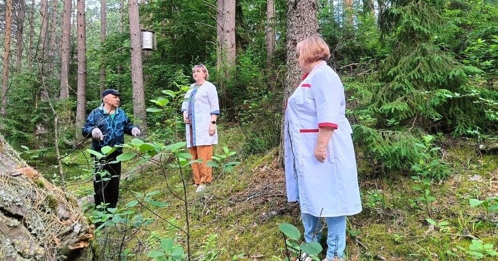 На окраине Новгородчины возраждается бортничество