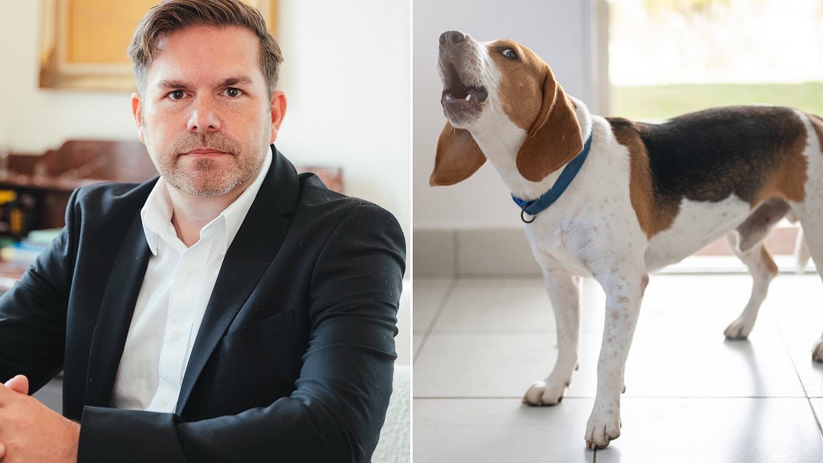 Der Hund meines Nachbarn bellt den ganzen Tag so laut, dass ich nicht arbeiten kann. Kann ich mich juristisch wehren? Antwort von Dean Dunham