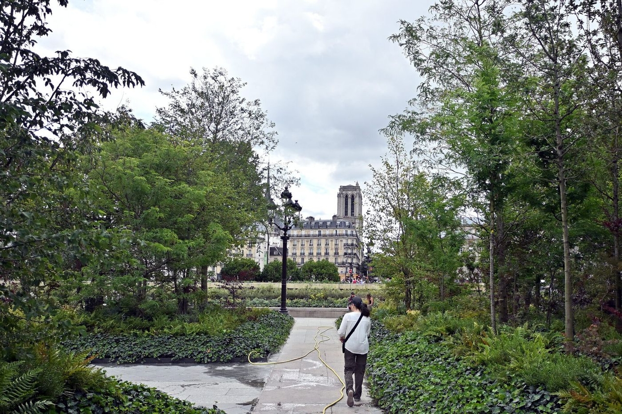 Clima: Paris reduziu suas emissões de gases de efeito estufa em um quarto em dez anos.