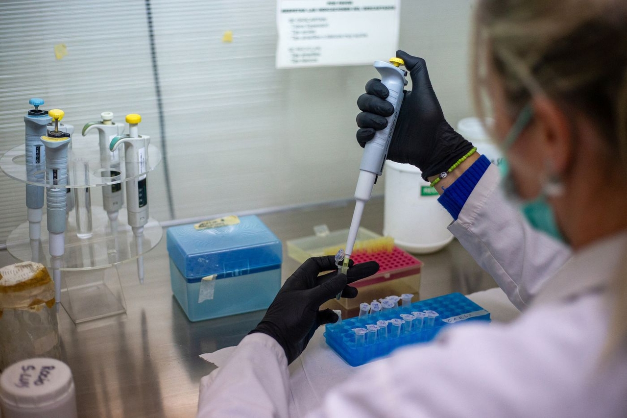 Hantavirus : face aux premiers cas en Europe, la recherche s’accélère