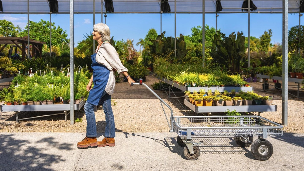 Pension points: Applying for early retirement and still working: Is it worth it? | Capital+