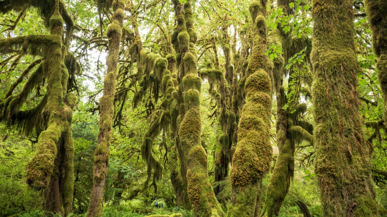 Estas son las maravillas naturales del mundo más infravaloradas