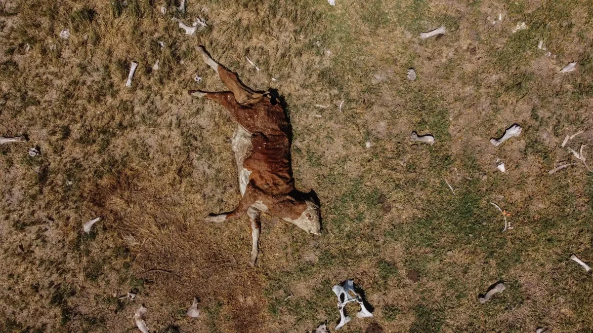 El mundo se queda corto en recursos para la adaptación ante la crisis climática: la brecha supera los 300.000 millones de dólares