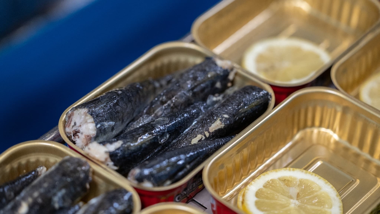 Pourquoi la sardine en boîte est devenue la nouvelle star de nos placards?
