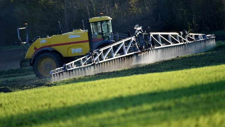 Cancer colorectal chez les jeunes: une étude pointe du doigt le rôle d'un herbicide