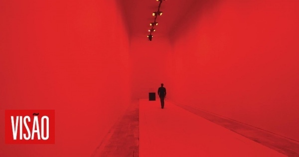 Bienal de Veneza: O tempo das borboletas