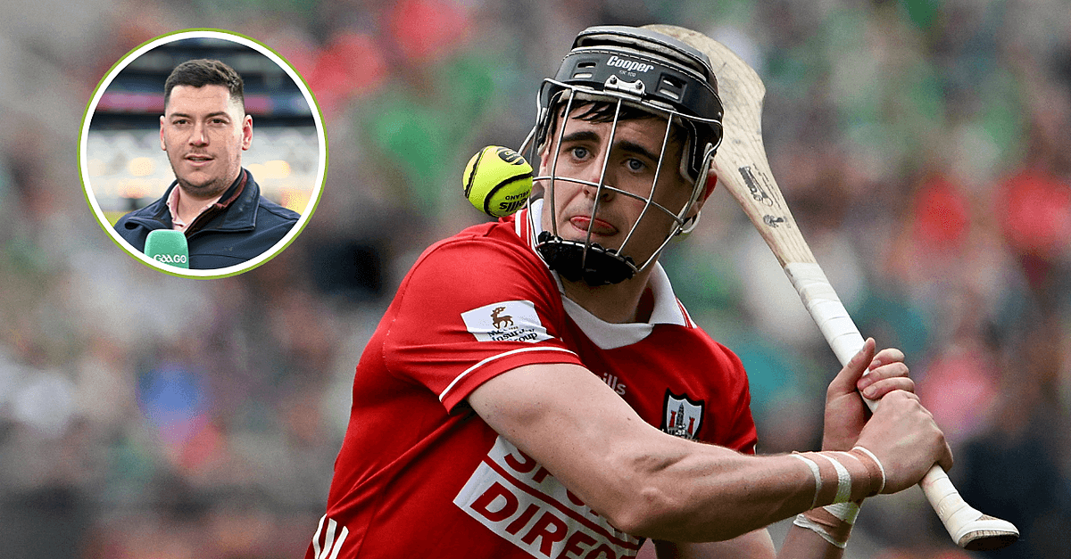 Darragh Fitzgibbon Inclusion Adds Intrigue As Cork And Limerick Renew Munster Final Rivalry