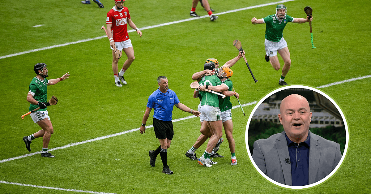 Anthony Daly Highlights Bizarre Aspect Of Chaotic Munster Final Ending
