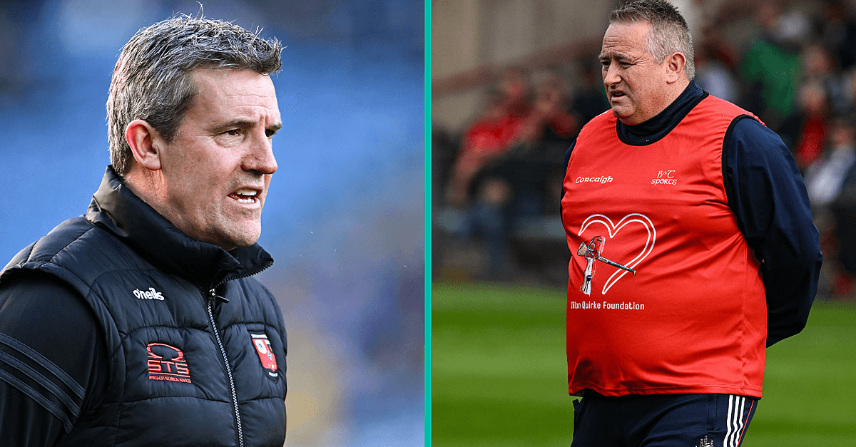 7 Contenders In The Race To Become The Next Waterford Hurling Manager