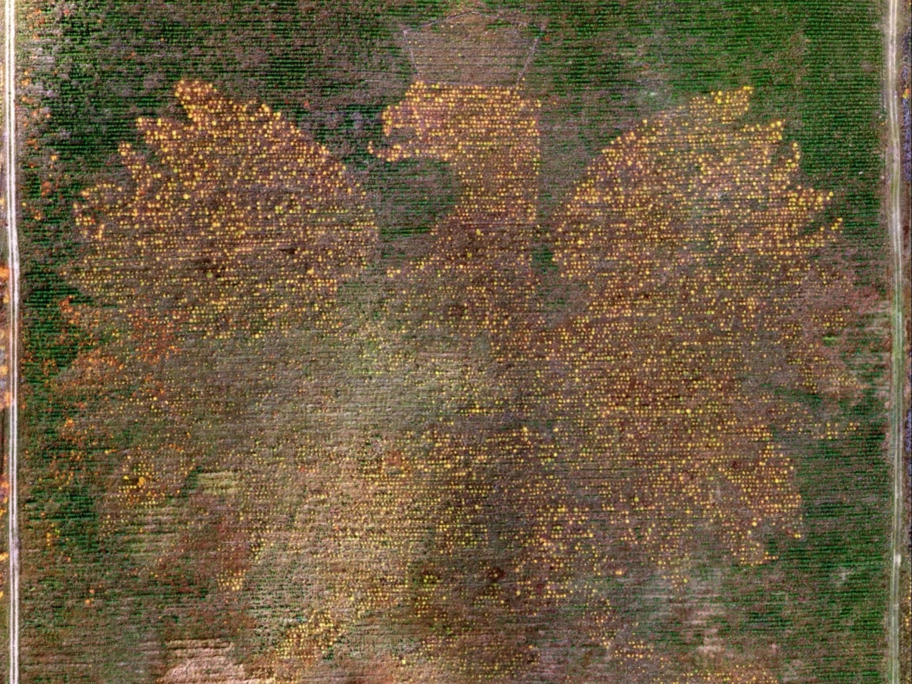 Der polnischste Ort in Polen. Ein Waldadler erfreut die Touristen.