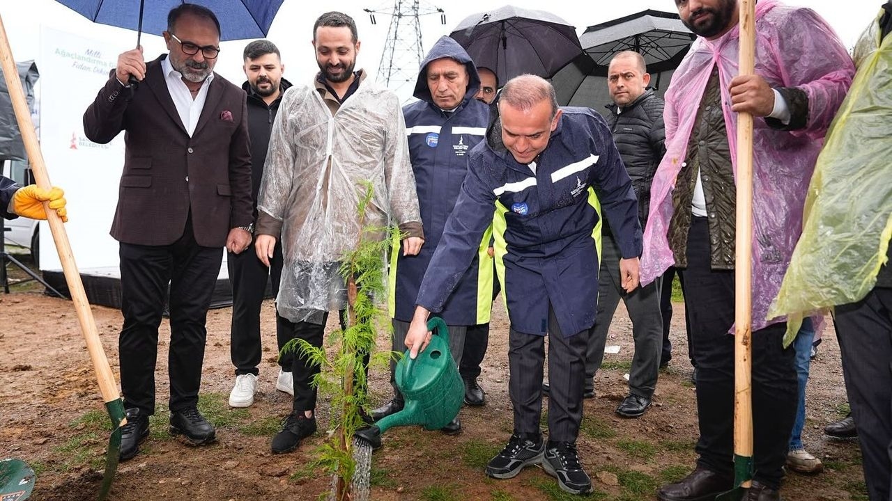 В Санджактепе посадили саженцы