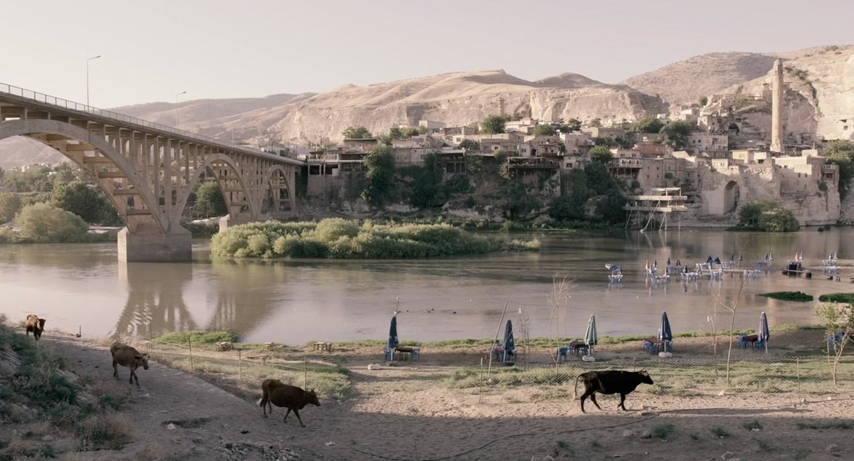 Un documental polaco gana el Festival Internacional de Cine Medioambiental Serra da Estrela