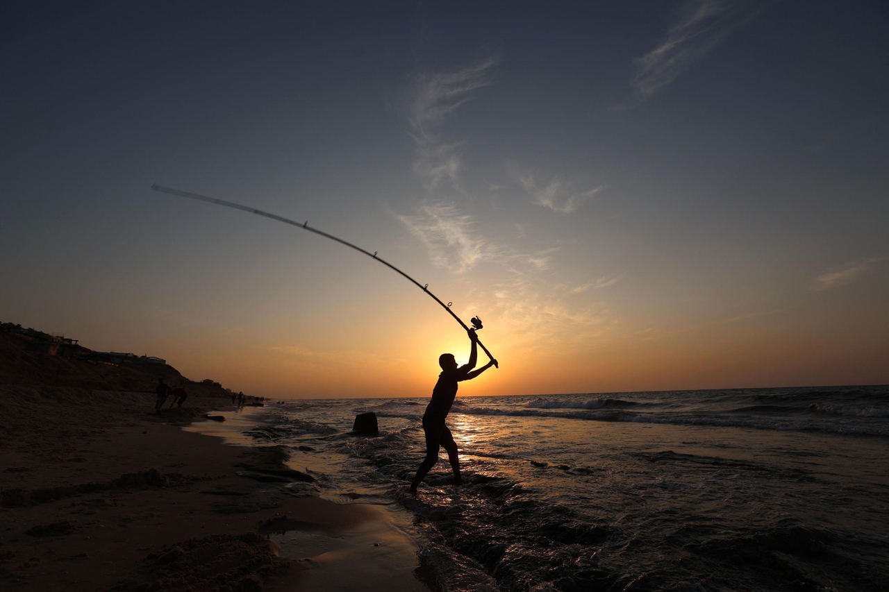 Gaza en Palestina: tien sleutelwoorden om een eindeloos conflict te begrijpen