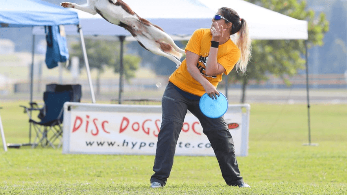 Cómo es y dónde se practica el discdog, la disciplina de perros que tiene campeonas del mundo argentinas