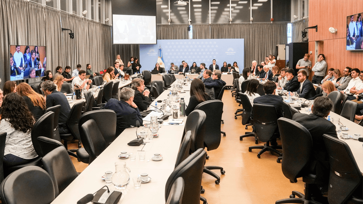 The Government will present the Bases 2 law and a new version of the Hojarasca Law in December.