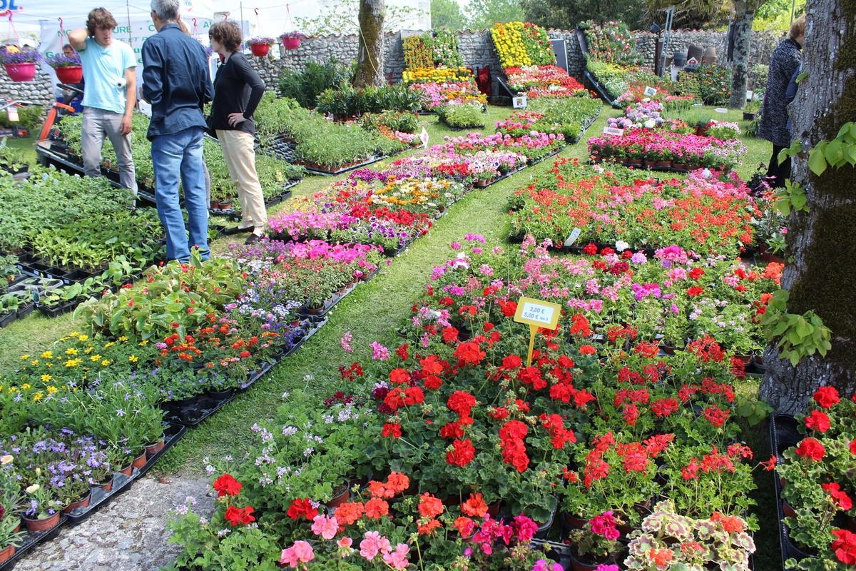 Arces : la 34e Fête des fleurs promet trois jours d’animations festives à la Pentecôte