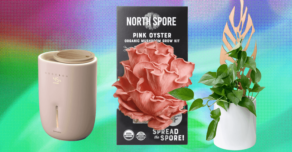 The 17 Best Gifts for Plant Lovers We’d Buy Ourselves (2025)