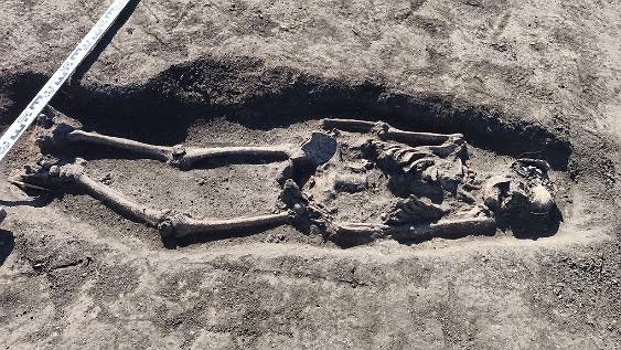 Yeni keşfedilen 10. yüzyıl iskeletleri, Polonya'nın ilk hükümdarına hizmet eden savaşçılara ait olabilir