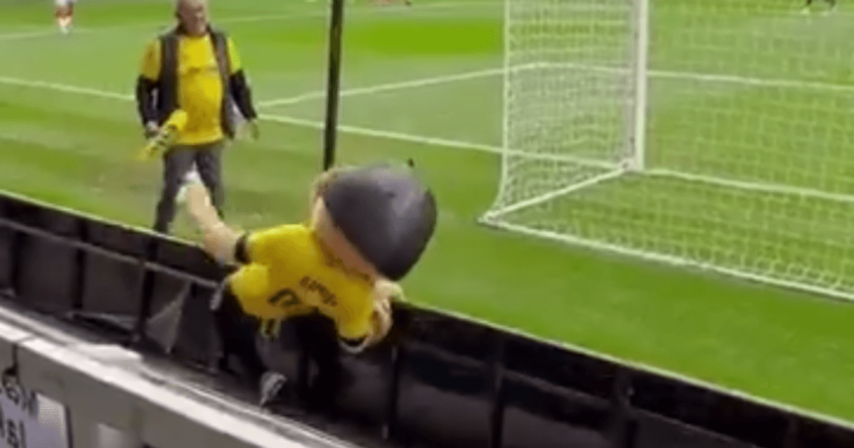 La mascotte del club inglese viene allontanata dal campo a causa di un'apparente ubriachezza.