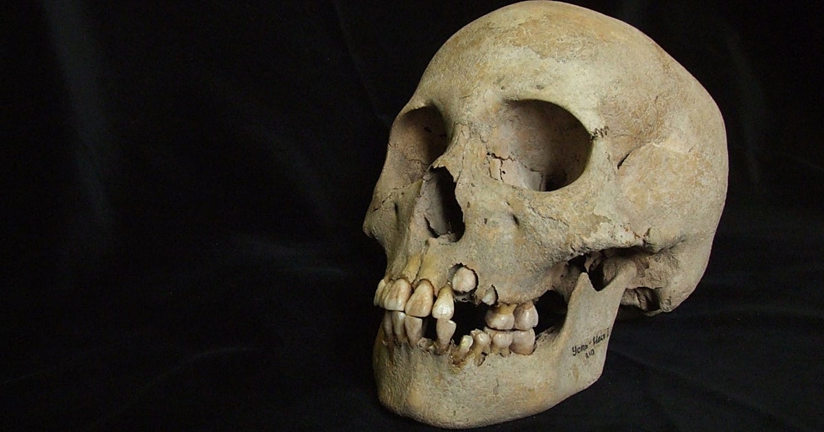 La peste negra ya era letal y aniquilaba a familias enteras hace 5.500 años