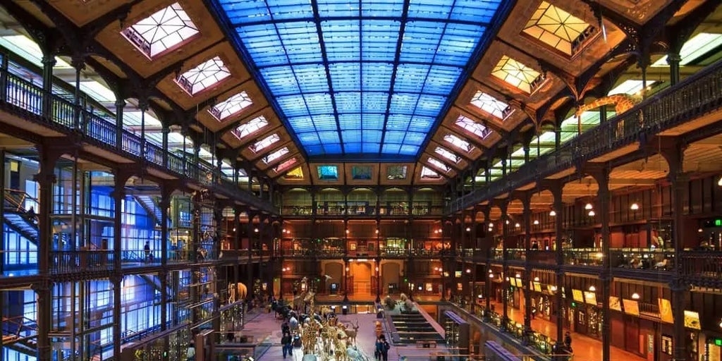 Ondata di furti nei musei francesi negli ultimi mesi