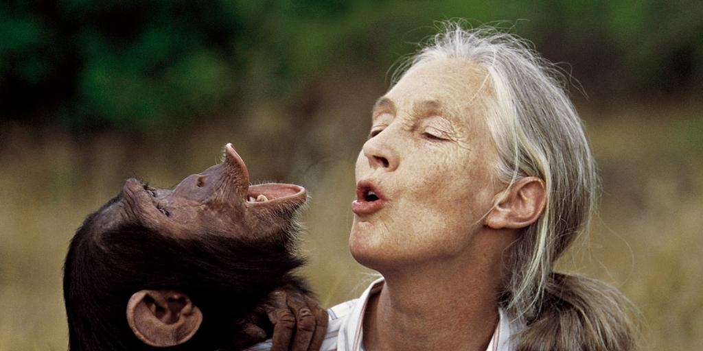 A causa da morte da primatologista Jane Goodall é revelada.