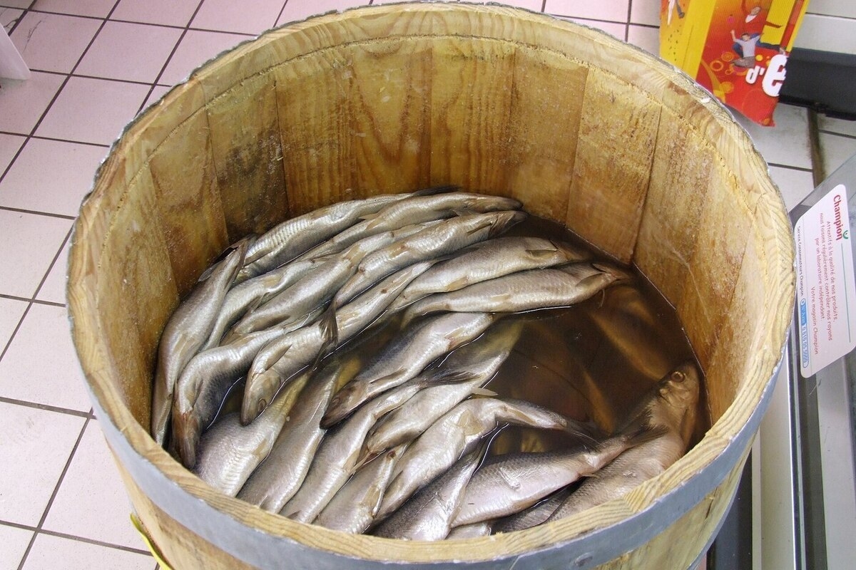 Der Hering verliert seinen Pelz: Der beliebte Fisch ist um fast 30 Prozent im Preis gestiegen.