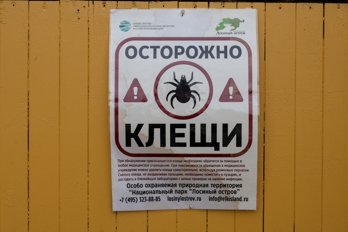 Herbstzecken sind gefährlicher als Sommerzecken.