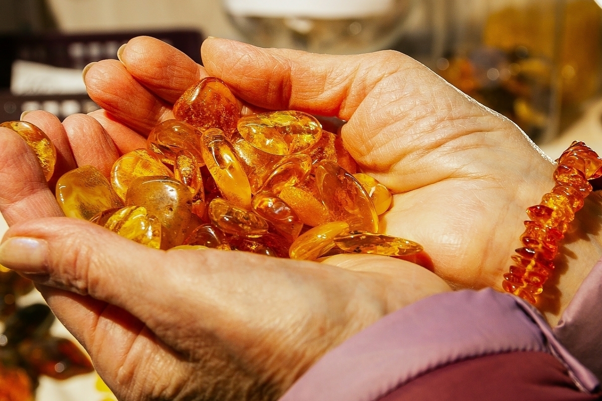 Des scientifiques ont découvert une nouvelle espèce de coléoptère ancien dans l'ambre de la Baltique.