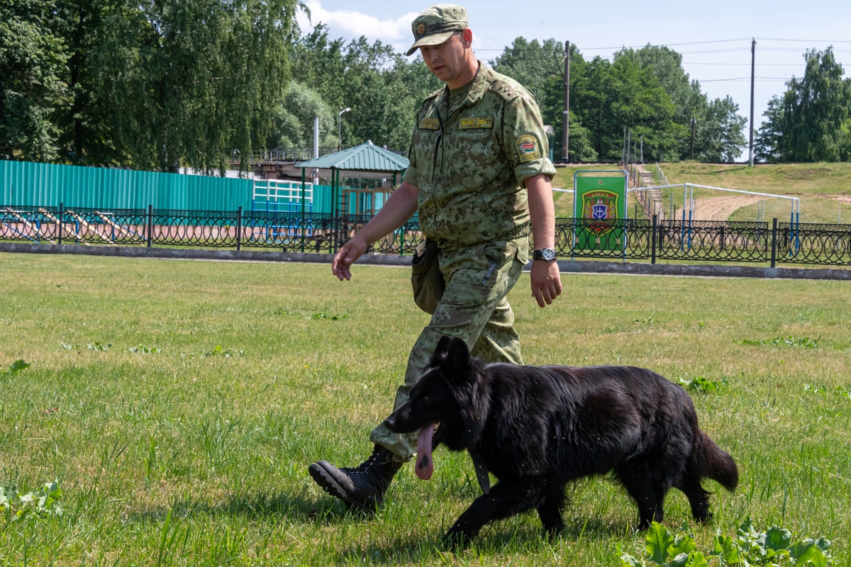Un país amigo de Rusia ha expresado su disposición a desplegar fuerzas de paz en Ucrania.