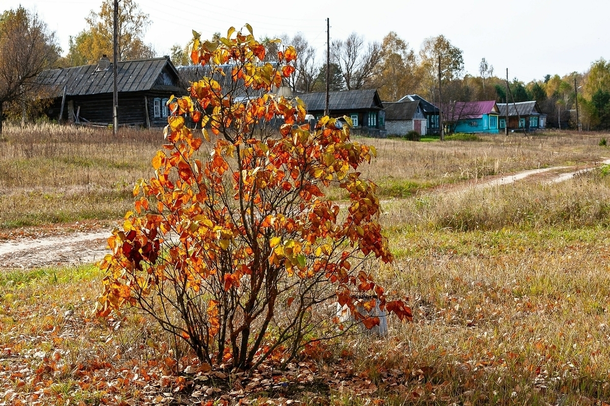 O que pode e o que não pode ser feito no dia 7 de novembro durante as Lamentações do Avô