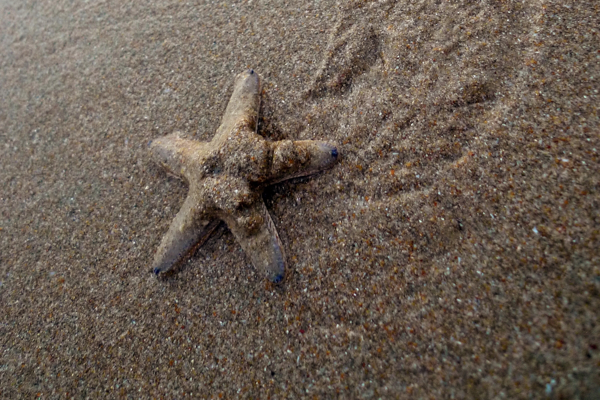 Des scientifiques affirment avoir découvert un « septième sens » caché chez l'être humain.