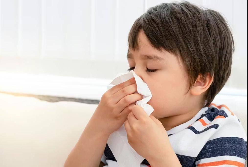 No hay ‘supergripe’ en Coahuila, aclara Secretaría de Salud; analizan posibles casos