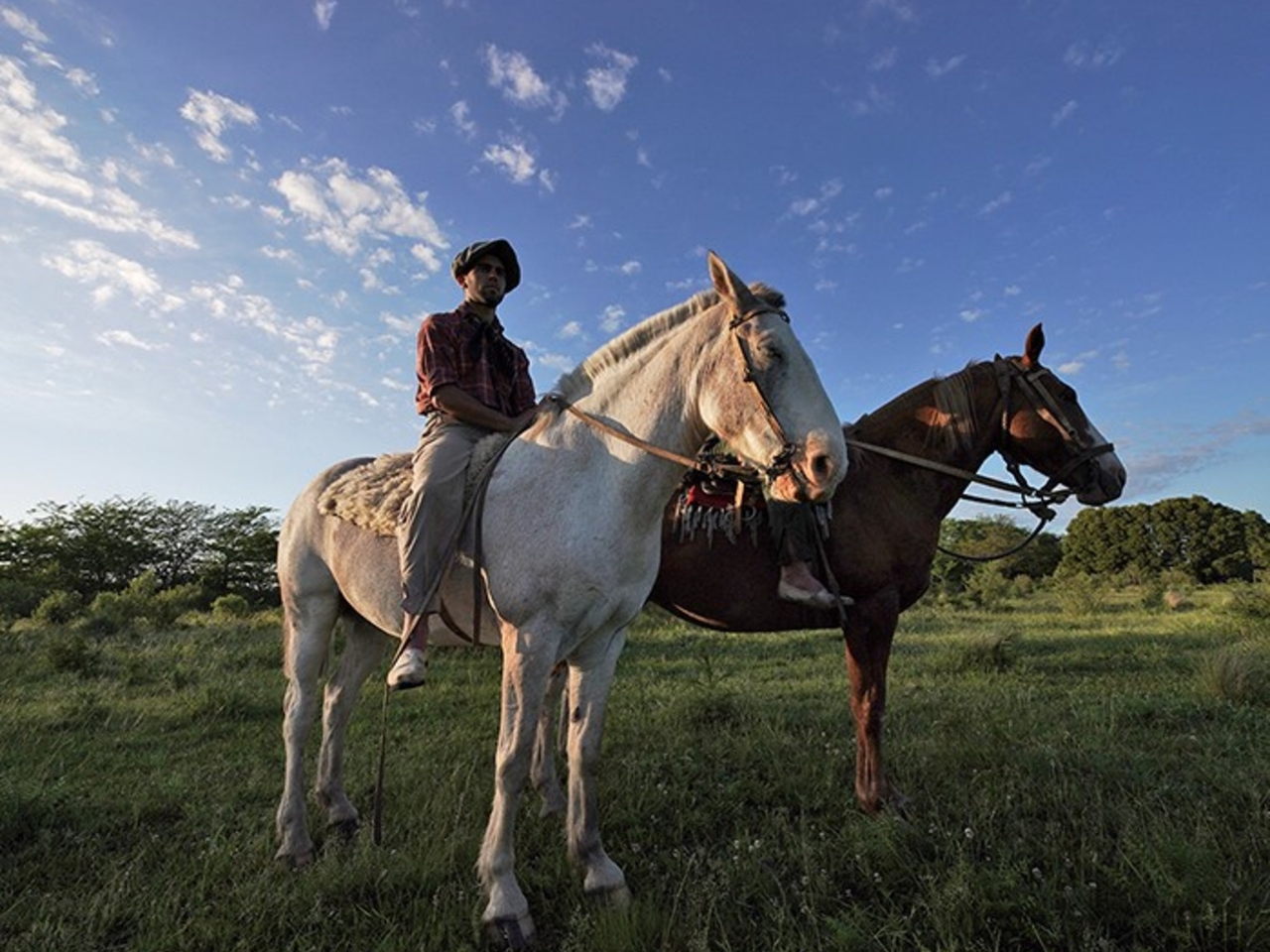 Das Criollo-Barbecue-Festival, Craft-Bier und sogar Spielzeug-Workshops: beliebte Festivals und Wochenendausflüge.