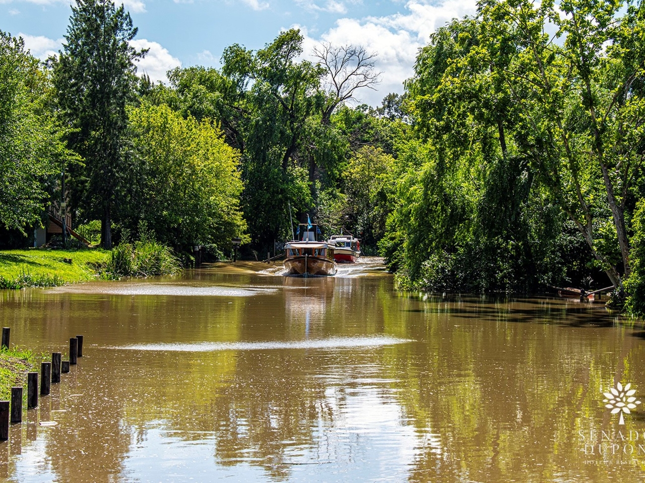 Een kajaktocht, een dag op een eiland met trekking en ontspanning, of een all-inclusive hotel met spa: 5 opties om van te genieten in de Tigre Delta