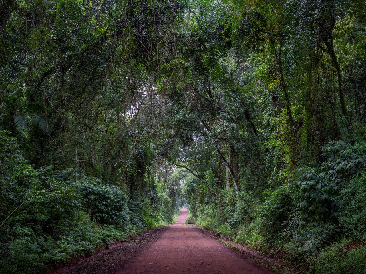 O ápice do luxo na floresta tropical de Misiones: o espetacular lodge onde cada villa possui piscina privativa e as excursões são personalizadas.