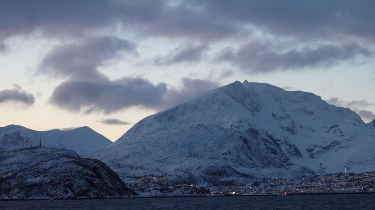 Monde en hiver : à la découverte de la faune et des aurores boréales de la Norvège