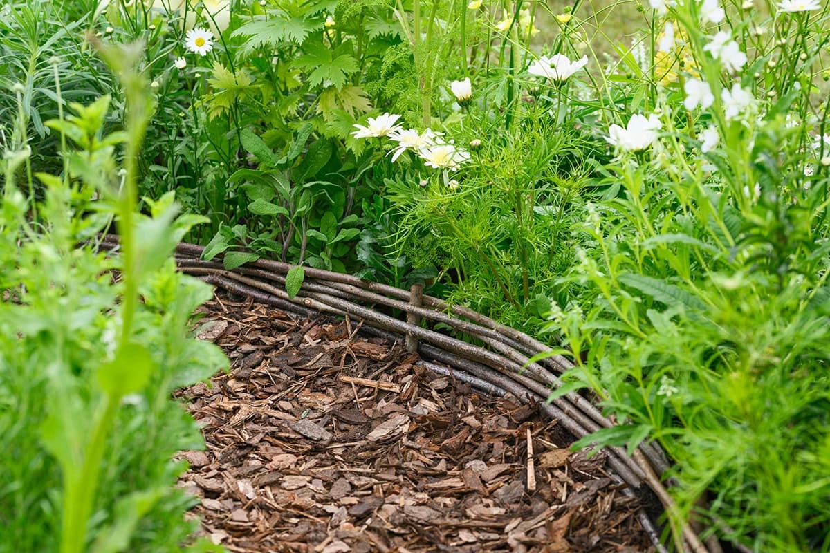 Ecco 11 cose intelligenti che puoi fare con gli scarti di potatura