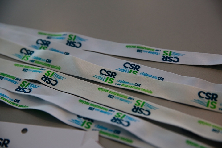 CSR on the Move: Data, Experience, and Vision for Rural Development in Friuli Venezia Giulia