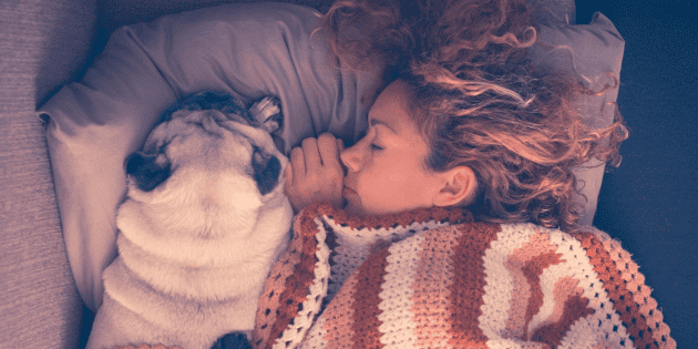 ¿Qué pasa con quienes duermen con sus mascotas?