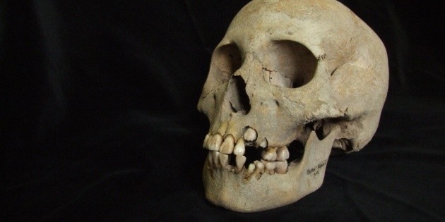 Hallan en Siberia el brote de peste más antiguo de hace 5 mil 500 años