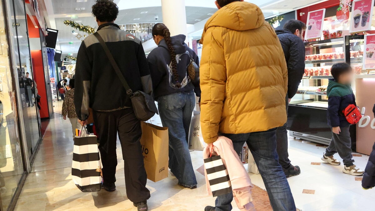 « Allez, on y est presque » : dans un centre commercial en ébullition, en plein rush des achats de Noël