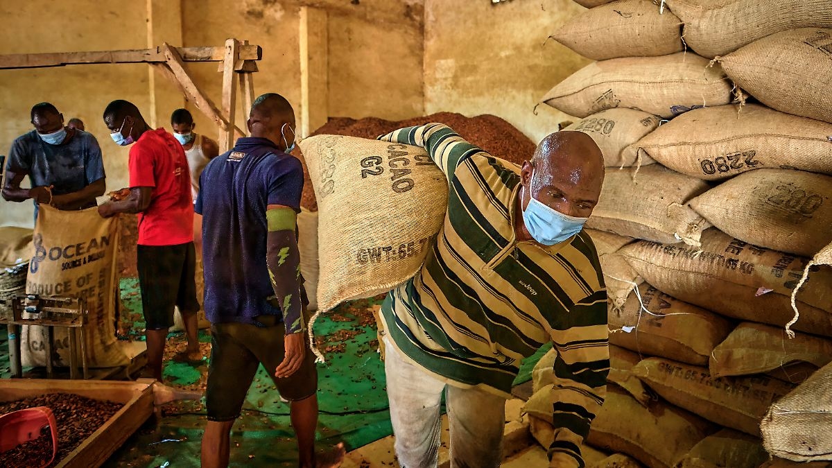 Election in Côte d'Ivoire: The world's cocoa center decides on its future