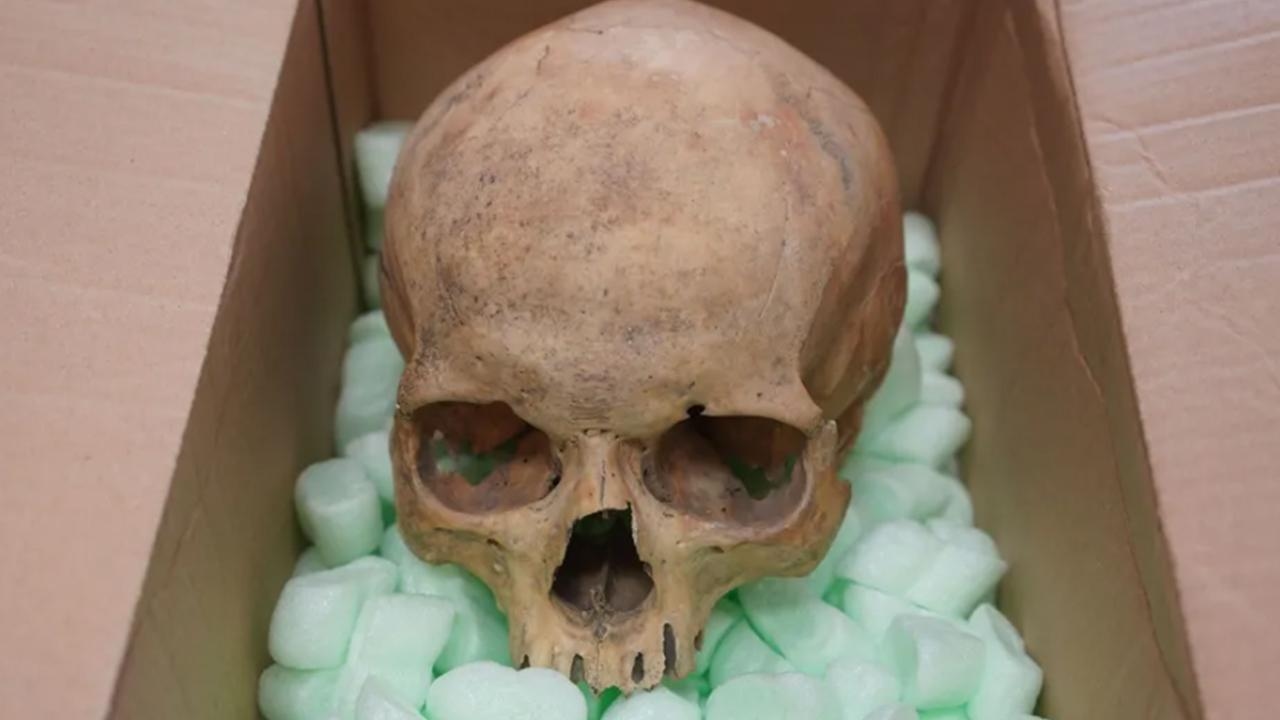 Er gab den Schädel, den er vor 60 Jahren gestohlen hatte, noch vor seinem Tod zurück.